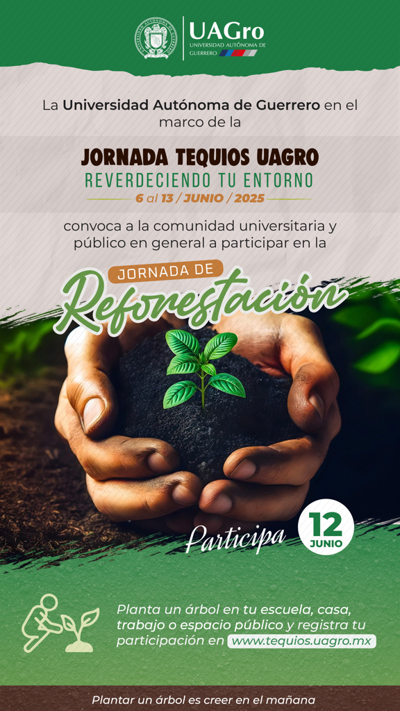 Reverdeciendo tu entorno
